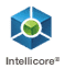 Clopay Intellicore insulation badge