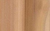 Amp cedar medium